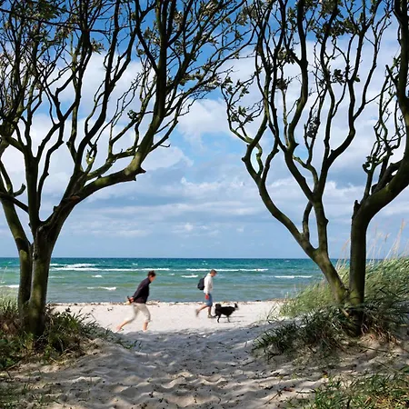 בית נופש Haus Seeschwalbe טימנדורף